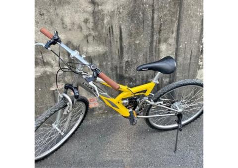 捷安特 giant變速前後避震腳踏車