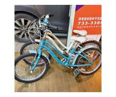 捷安特兒童可變速腳踏車越野車 - 1/1