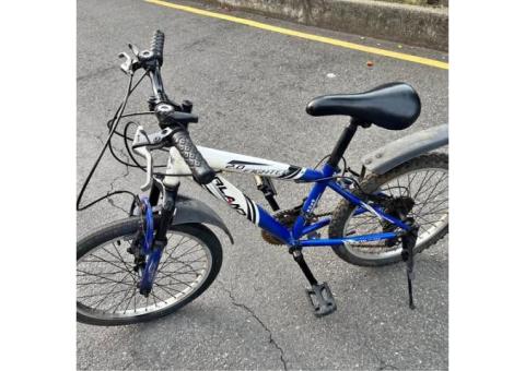 前避震IRLAND愛爾蘭達18段變速20吋帥氣拉風腳踏車兒童腳踏車童車（大人小孩都能騎喔！代步、通勤、上下課、上下班、東勢、日月潭）