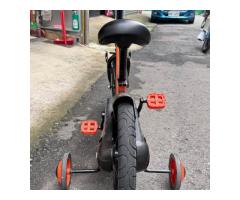 3歲以上腳踏車 - 1/1