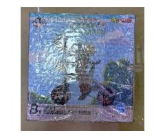 七龍珠B賞-悟飯腳踏車