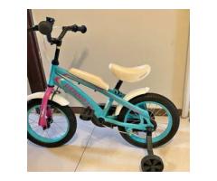 賣 二手16吋腳踏車 - 1/1