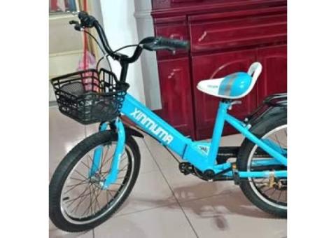 18吋 腳踏車 自行車 BIKEONE MINI18 可摺疊兒童自行車18吋後貨架版加閃光輔助輪男孩2-3-5-6-7-8歲寶寶小孩腳踏單車