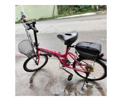 FUSIN 20吋變速折疊腳踏車車(F201) 小折車 腳踏車 單車 自行車 - 1/1