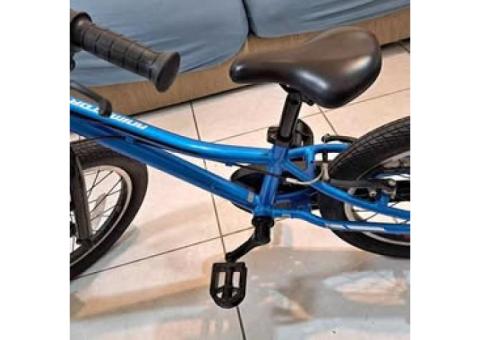 捷安特腳踏車,16吋,8成新2000(暫售中)