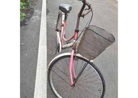 售~賣腳踏車 淑女車