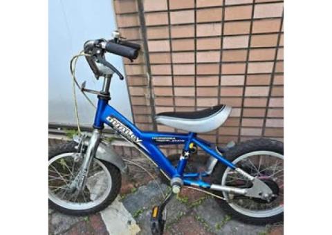 大降價~14吋兒童腳踏車 現在只要:800元 只限面交,地址:新北新莊 只有這一台,賣掉就沒了