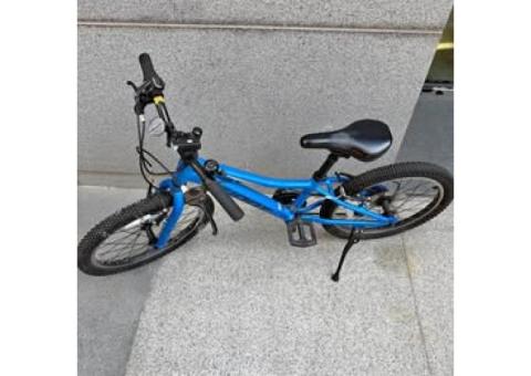 捷安特（Giant）XTC Jr 20 Lite 兒童自行車，藍色