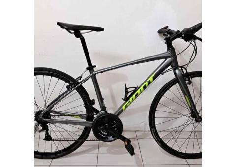 GIANT捷安特 ESCAPE 3 腳踏車