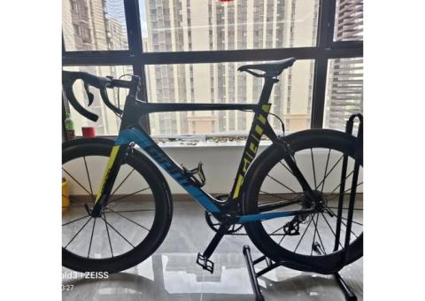 giant捷安特prople腳踏車