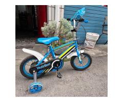 12吋幼童腳踏車 - 1/1
