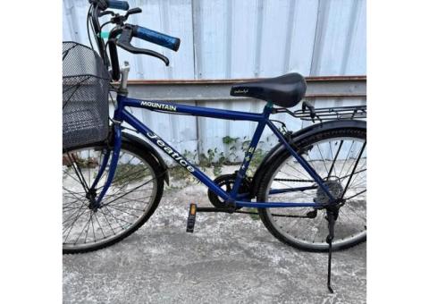 A227二手26吋18段速Jeatice捷帝士帶籃子帶後座藍色腳踏車