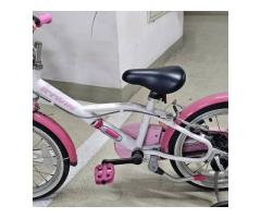 16吋腳踏車 - 1/1