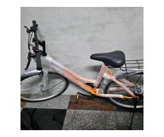 全新腳踏車 - 1/1
