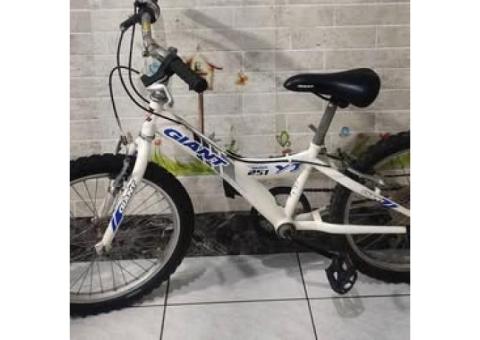 giant 兒童腳踏車_yj _251_6速_20吋_適合騎乘身高120_135公分