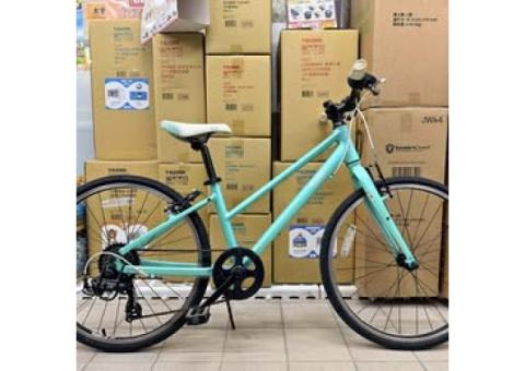 捷安特 Giant 24吋 兒童腳踏車 童車