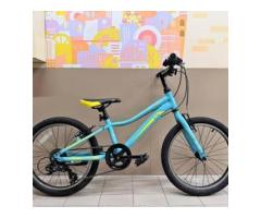 捷安特 Giant enchant 20吋 童車 兒童腳踏車 - 1/1