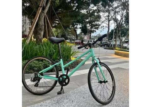 Liv alight24 7速 兒童腳踏車