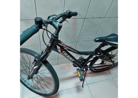 二手捷安特（Giant）Revel 兒童或小型成人自行車。