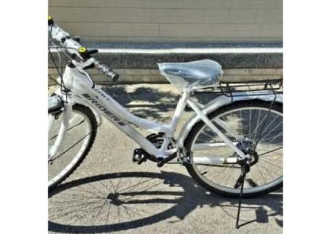 RIDER 26吋 全新變速腳踏車