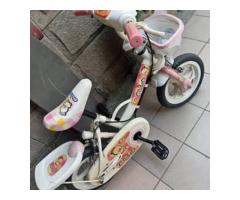 小寶寶的第一台腳踏車 - 1/1