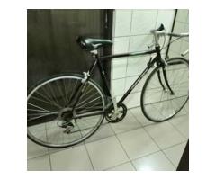 捷安特 r1000 公路車 鋼管自行車 GIANT 腳踏車 照片現況售 - 1/1