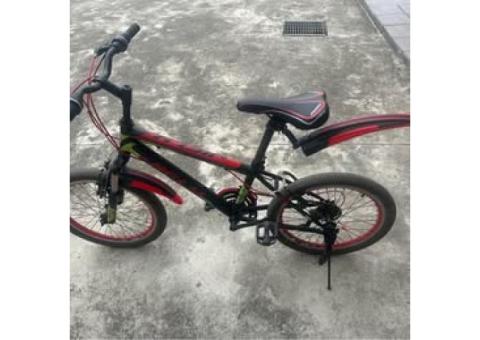 出售 20吋小孩腳踏車