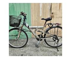 買菜腳踏車 淑女車 - 1/1