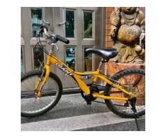 20吋捷安特兒童變速腳踏車 功能正常 台中市面交（外縣市可寄） - 1/1