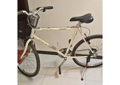 二手21段變速腳踏車
適合高個騎乘