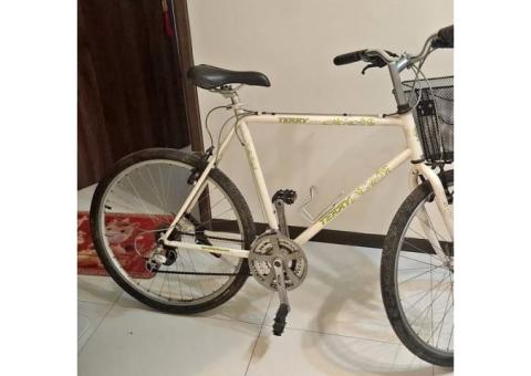 二手21段變速腳踏車
適合高個騎乘