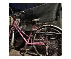 捷安特腳踏車 - 1/1