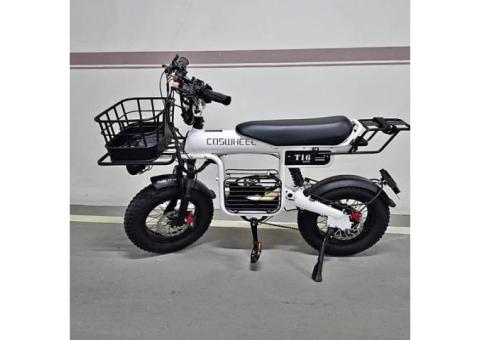Coswheel T16 電動腳踏車