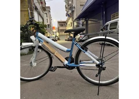 腳踏車 愛爾蘭自行車 26吋 全新