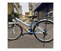 腳踏車 愛爾蘭自行車 26吋 全新