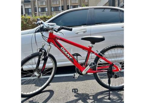 GIANT YS488捷安特通勤變速腳踏車24吋21速 鋁合金 前避震 全新座椅 全新鏈條 全新把套 全新前後V夾 全新前後輪外胎 前後輪快拆