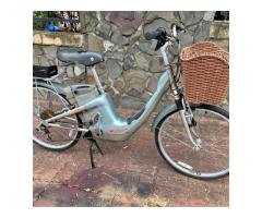 捷安特電動腳踏車
沒電池$3000
可當腳踏車使用 - 1/1