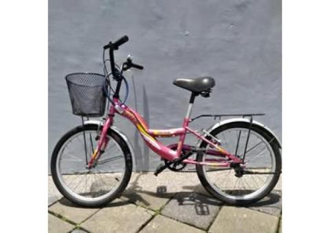 EMC 粉紅色 20吋 淑女車 代步車 腳踏車 通勤車