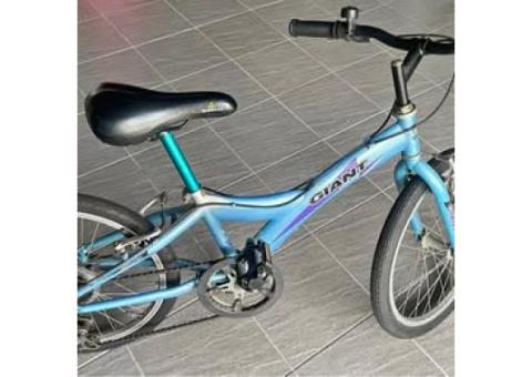 二手 後變速兒童腳踏車