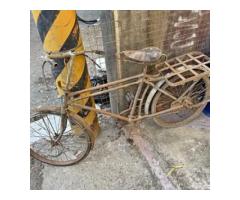 古董腳踏車 - 1/1