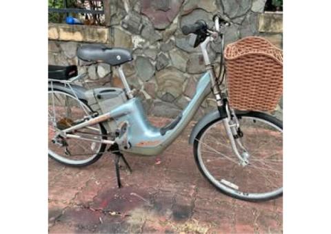 捷安特腳踏車
可供運送運費
沒電池沒電池