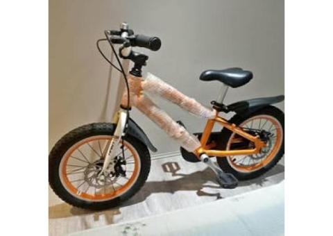 16吋兒童腳踏車(全新)