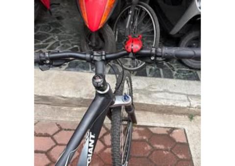 2手捷安特腳踏車