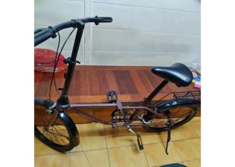 DAHON 老貂摺疊腳踏車 台中西區/北區可自取