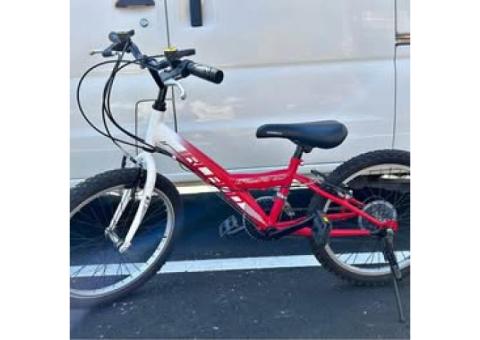 IRLAND 愛爾蘭紅色兒童變速腳踏車20吋18速 全新變速器