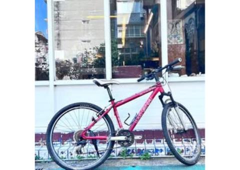 LOUIS GARNEAU 的腳踏車 。
型號是 XCCASPER。