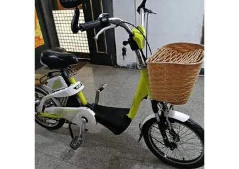 電動自行車，腳踏車，鋰電池