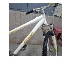 捷安特26吋登山車（白色款）
特價出清 - 1/1