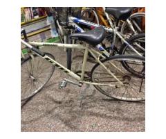 不騎的shimano腳踏車 - 1/1