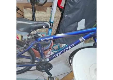 Giant捷安特腳踏車*1